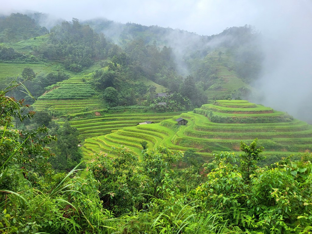 Cette image a un attribut alt vide ; le nom du fichier est 13-marie-france-lesage-vietnam-hoang-su-phi-.jpg