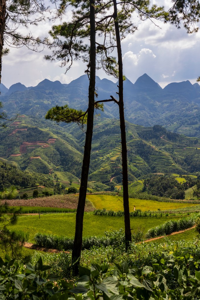Cette image a un attribut alt vide ; le nom du fichier est 17-marie-france-lesage-vietnam-route-dha-giang-.jpg