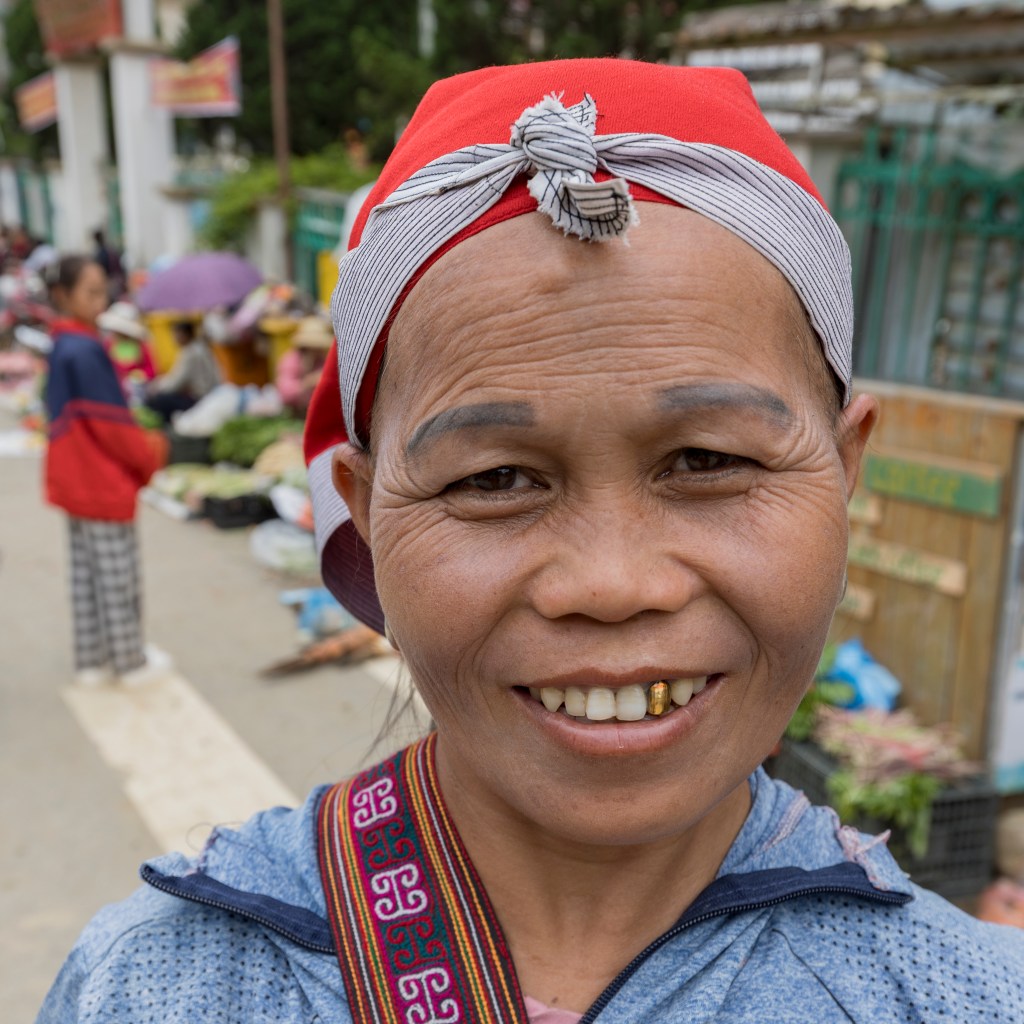 Cette image a un attribut alt vide ; le nom du fichier est 23-marie-france-lesage-vietnam-femme-dao-pres-de-sapa.jpg