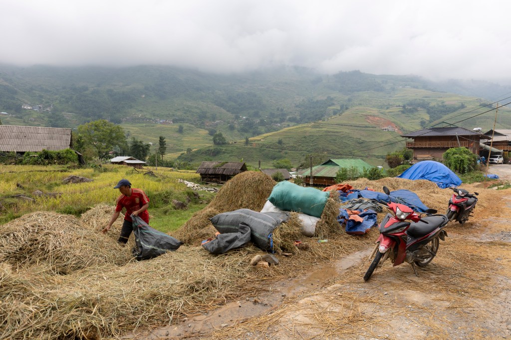 Cette image a un attribut alt vide ; le nom du fichier est marie-france-lesage-vietnam-meo-vac-9.jpg